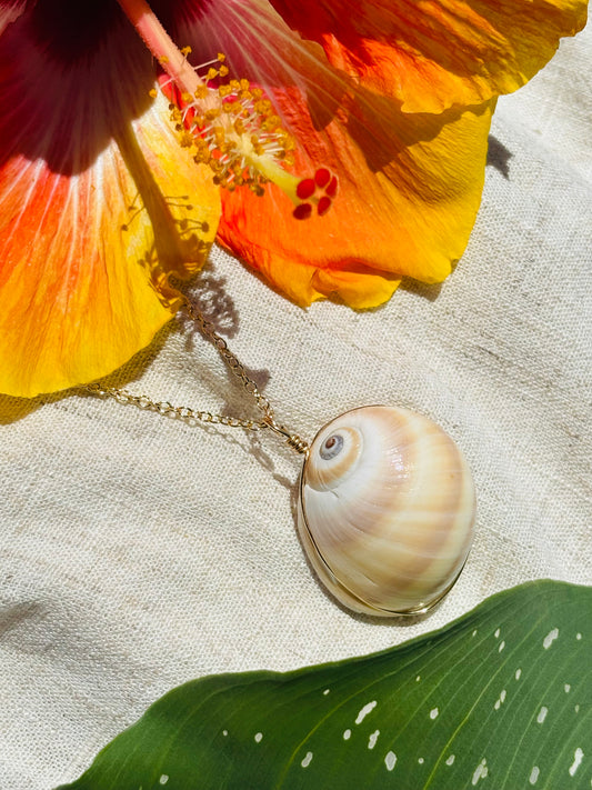 One-of-a-kind shell statement necklace
