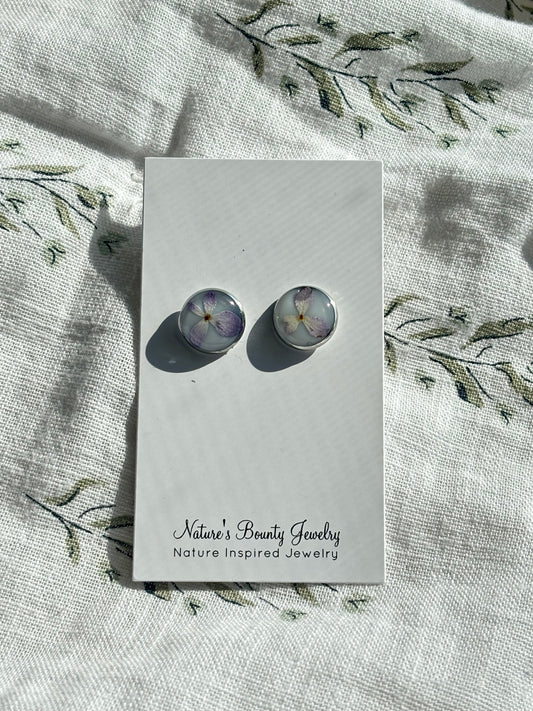 Pressed hydrangea stud earrings