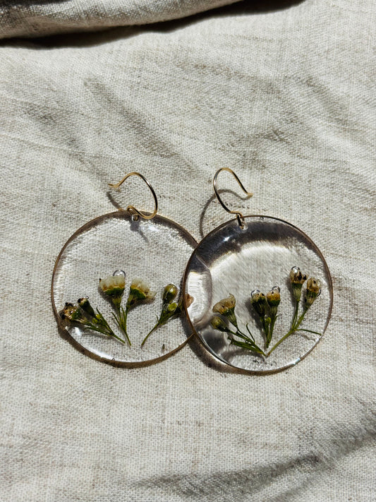 White wax flower earrings