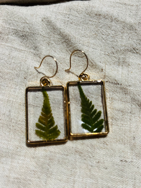 Pressed fern earrings