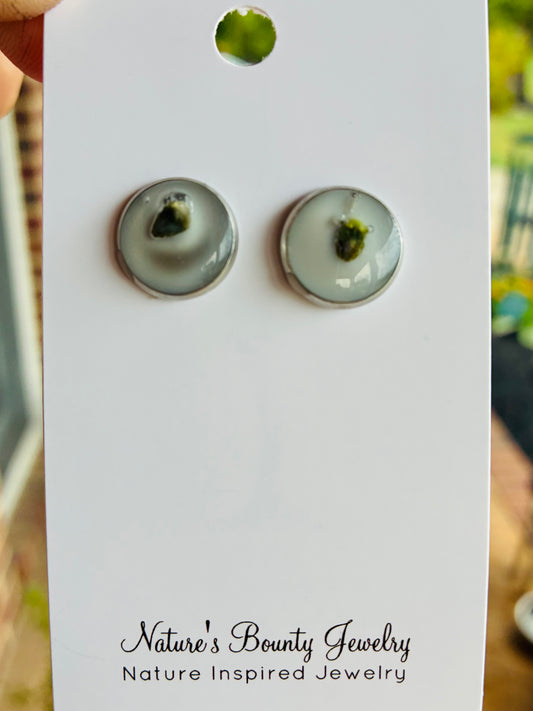 White wax flower stud earrings
