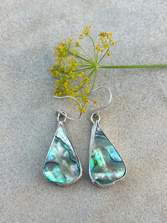 Abalone earrings