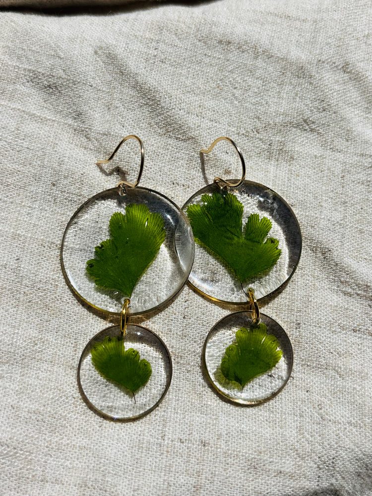 Pressed fern earrings