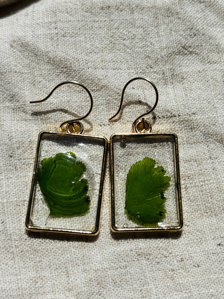 Pressed fern earrings