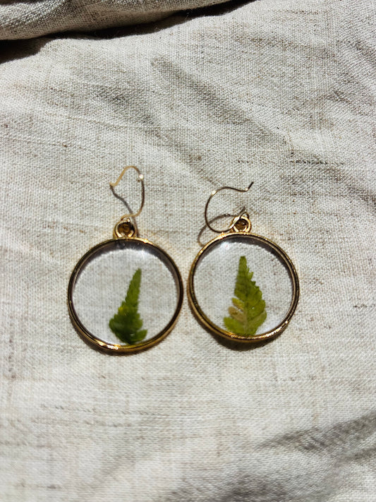 Round fern earrings