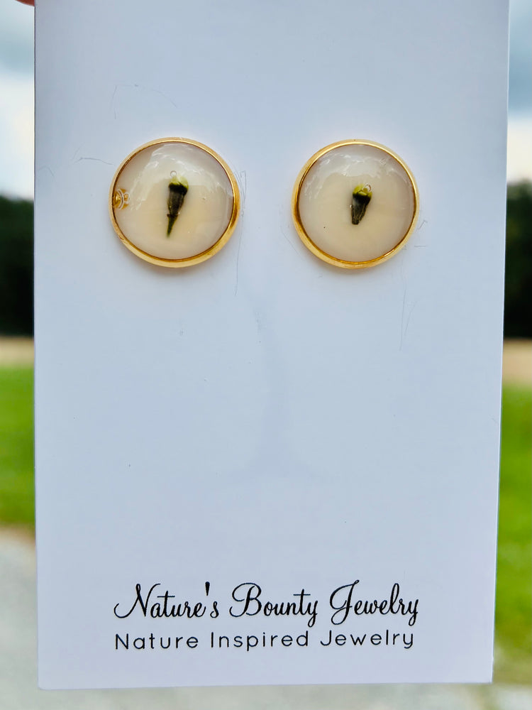 White wax flower stud earrings