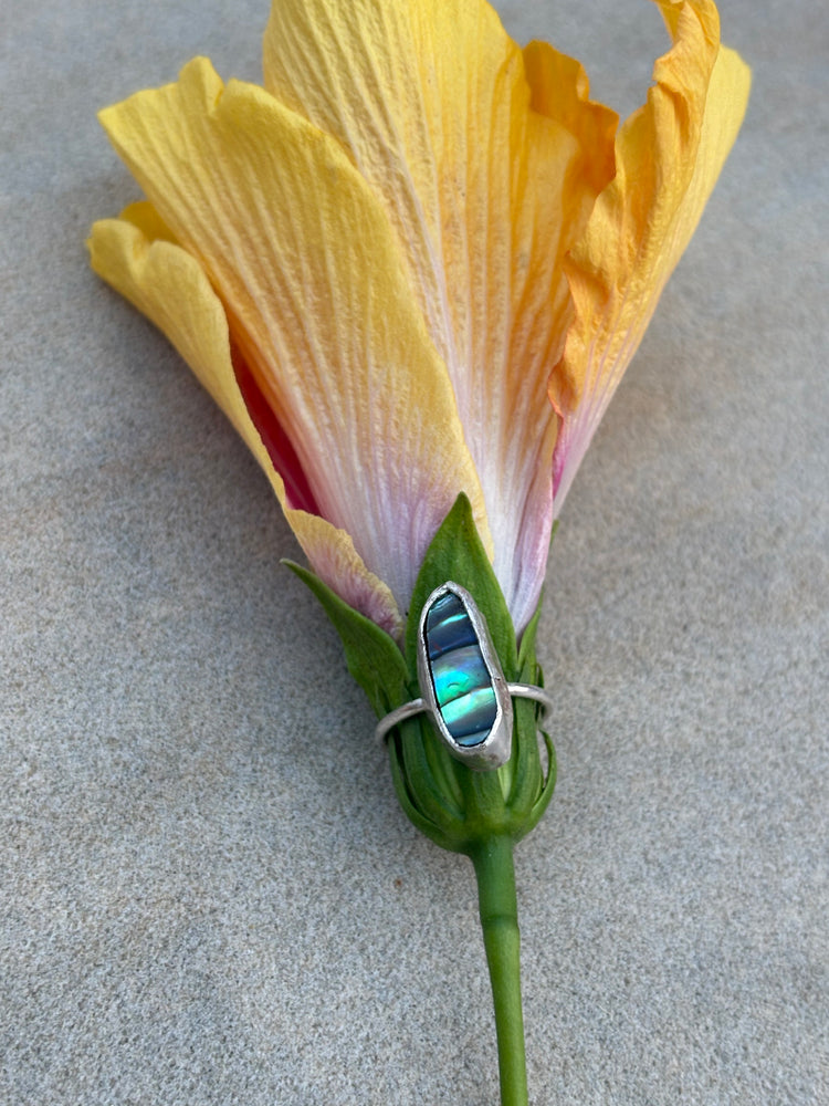 Abalone ring
