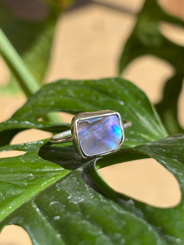Abalone ring