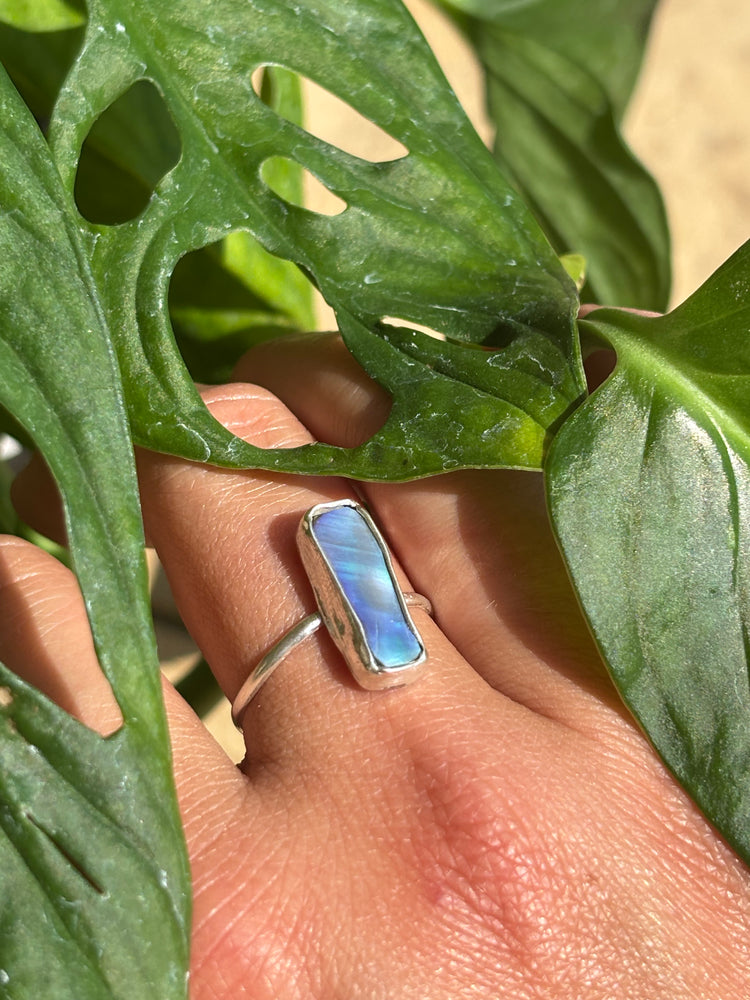 Abalone ring