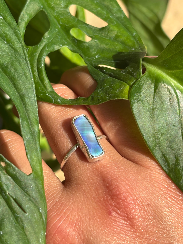 Abalone ring