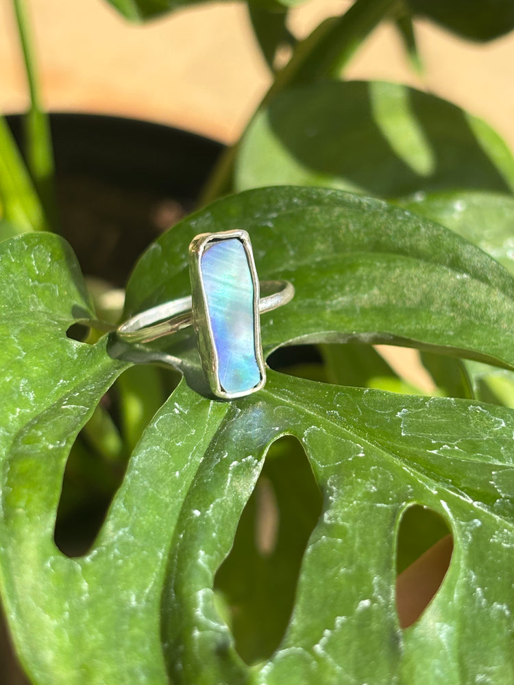 Abalone ring
