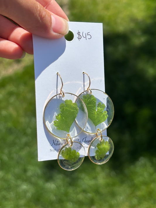 Pressed fern earrings